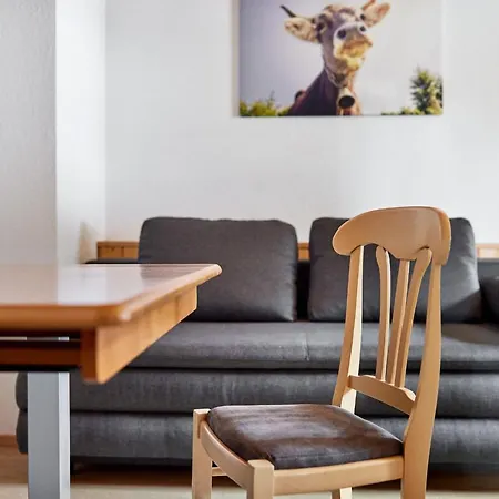 Haus Spettel 公寓 加舒恩