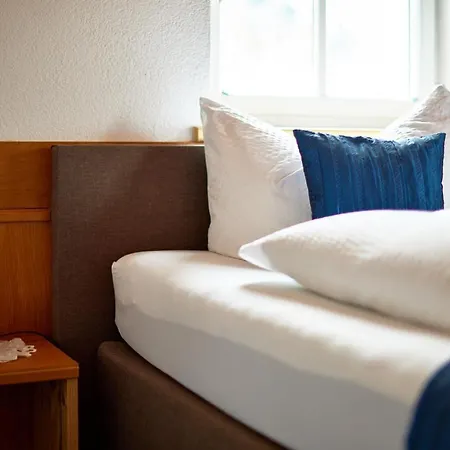 Haus Spettel 加舒恩